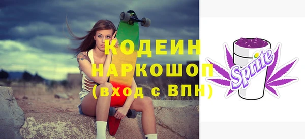 шишки Алагир