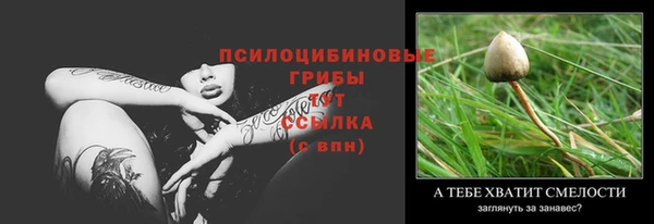 гидропоника Михайловка