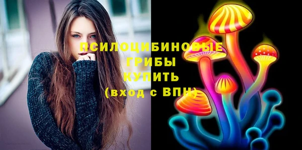 соль ск Чекалин